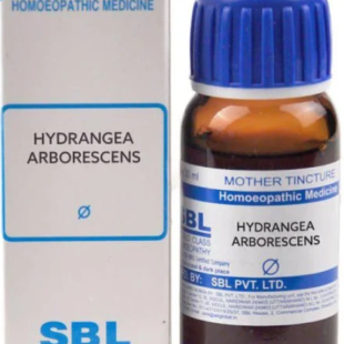 HYDRANGEA-ARBO-Q SBL 30ML